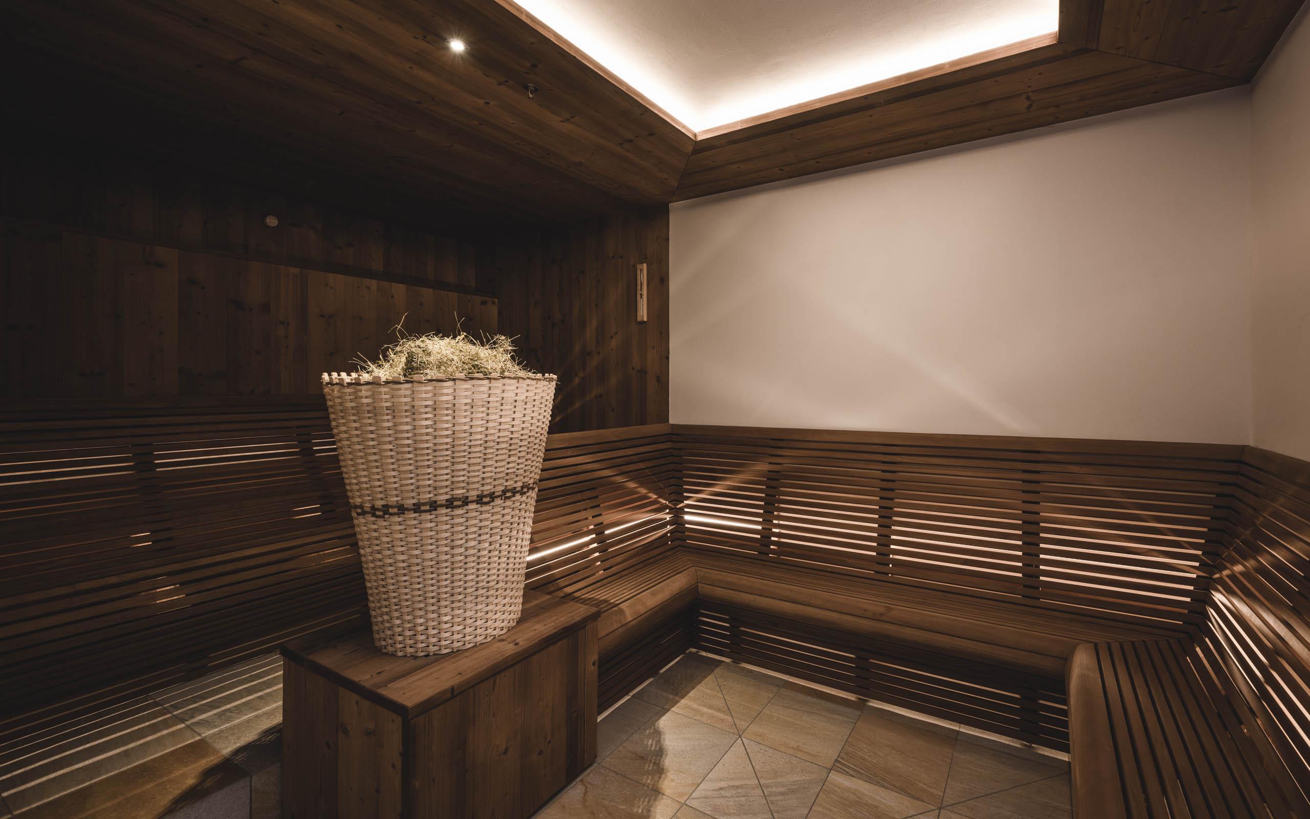 Hotel Steger-dellai 4*